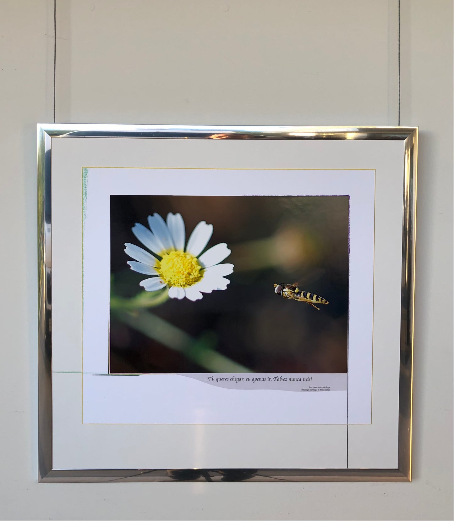 64 x 60 cm Ref. FNG.4