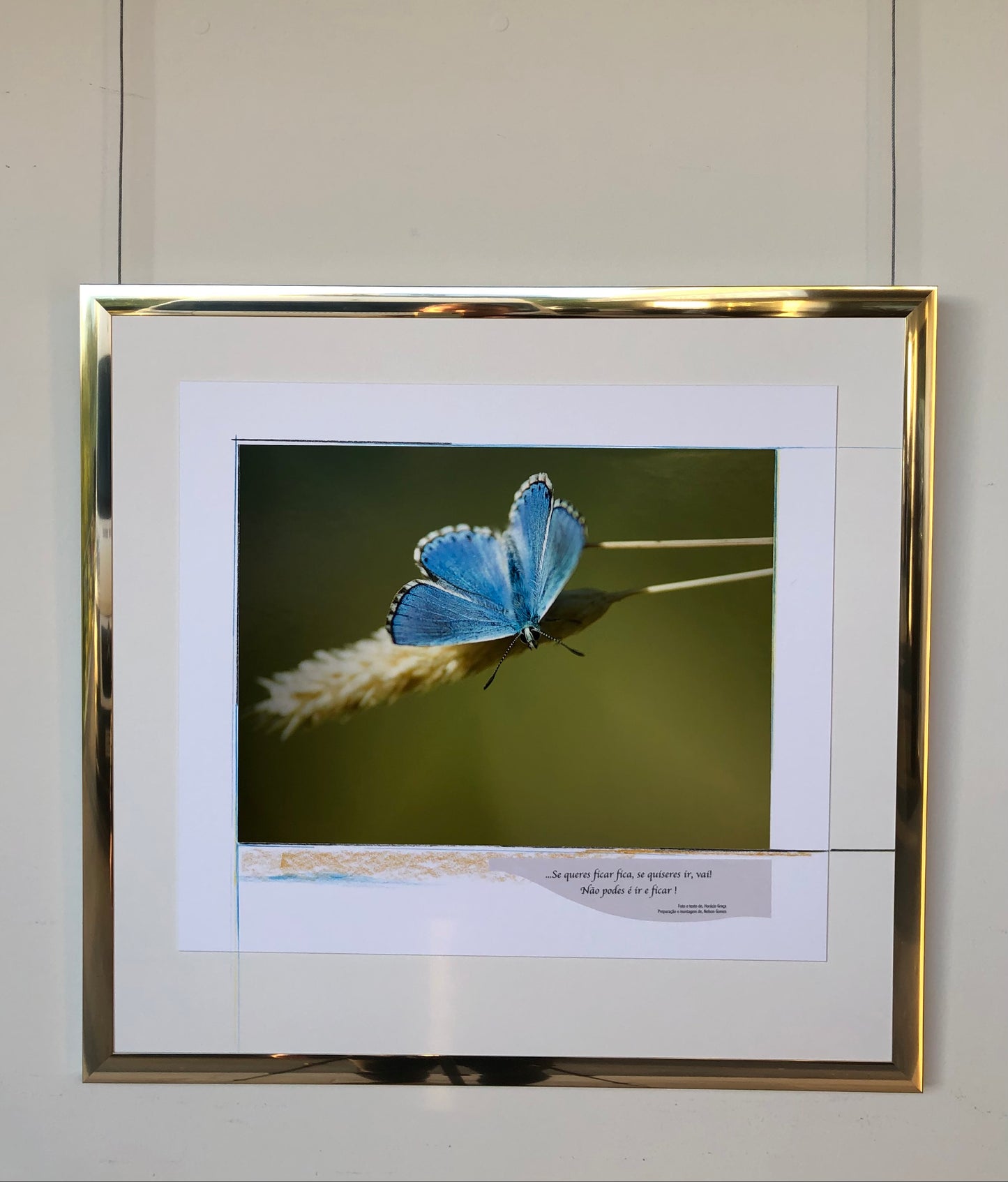 64 x 60 cm Rif. FNG.5