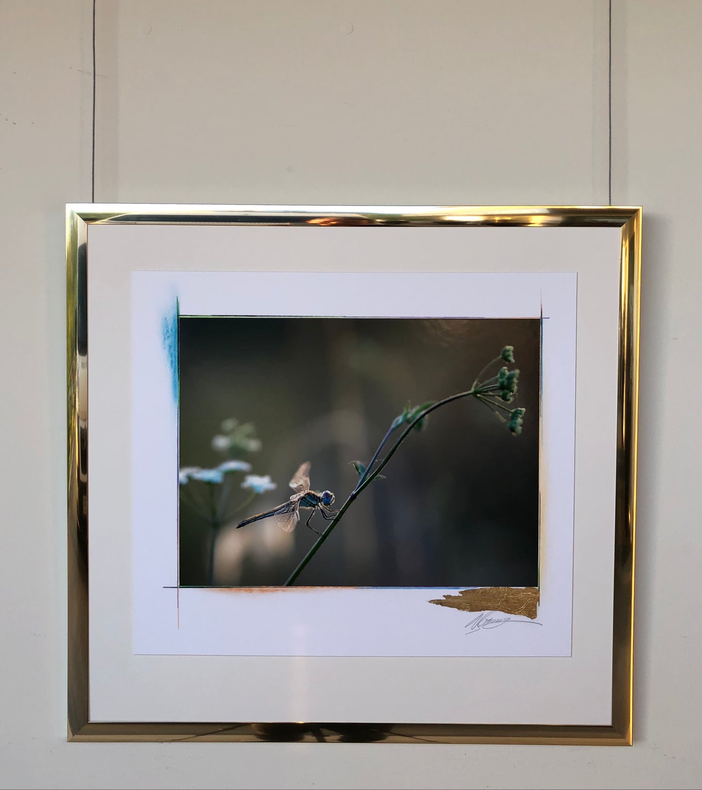 64 x 60 cm Ref. FNG.9