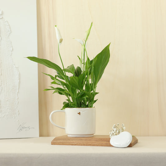 caneca corações 459