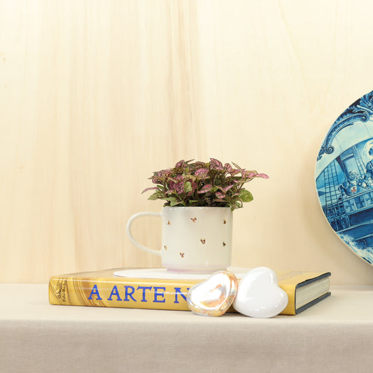 Gold Edition – Herzen