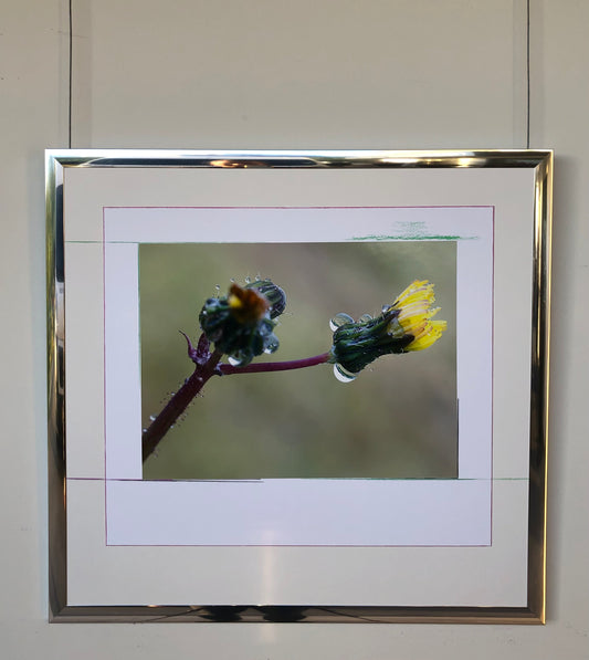 64 x 60 cm  Ref. FNG.1