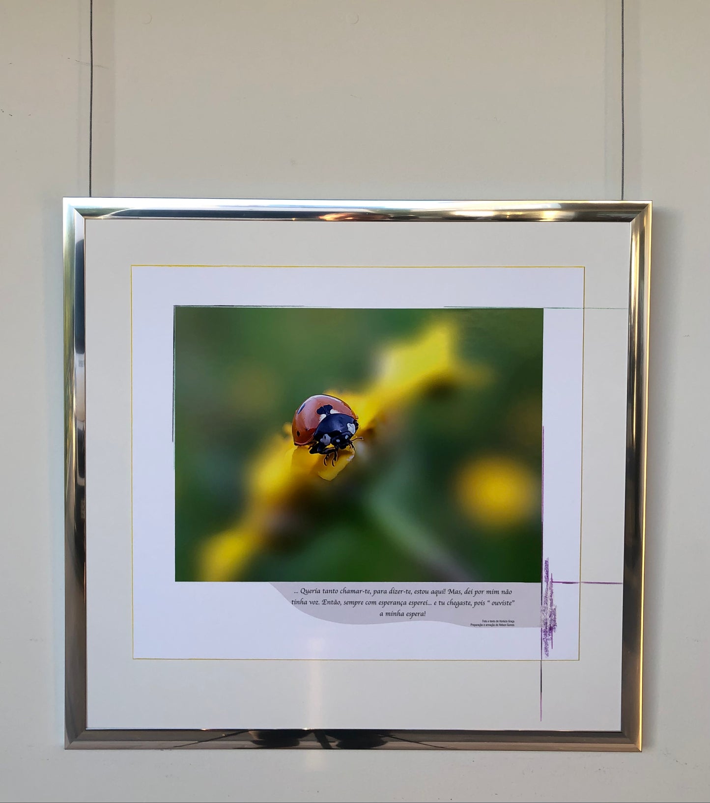 64 x 60 cm  Ref. FNG.3