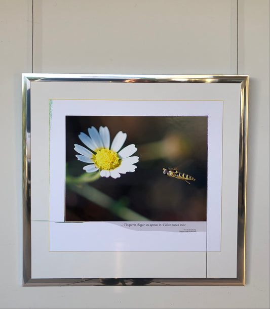 64 x 60 cm Rif. FNG.4