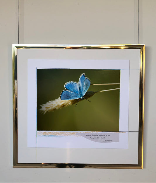 64 x 60 cm Rif. FNG.5