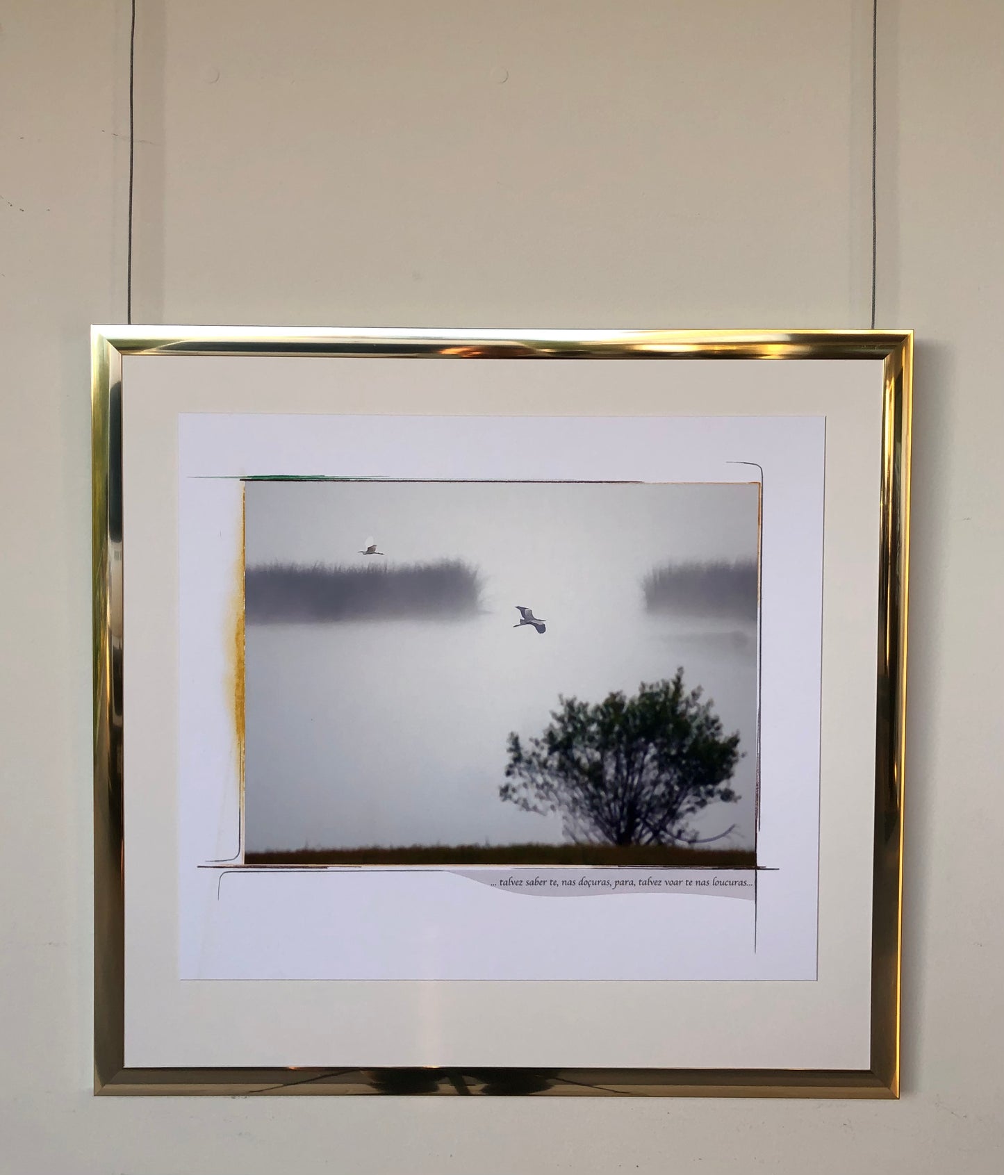 64 x 60 cm  Ref. FNG.10