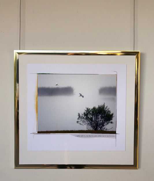 64 x 60 cm Rif. FNG.10