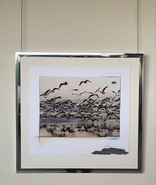 64 x 60 cm Rif. FNG.14