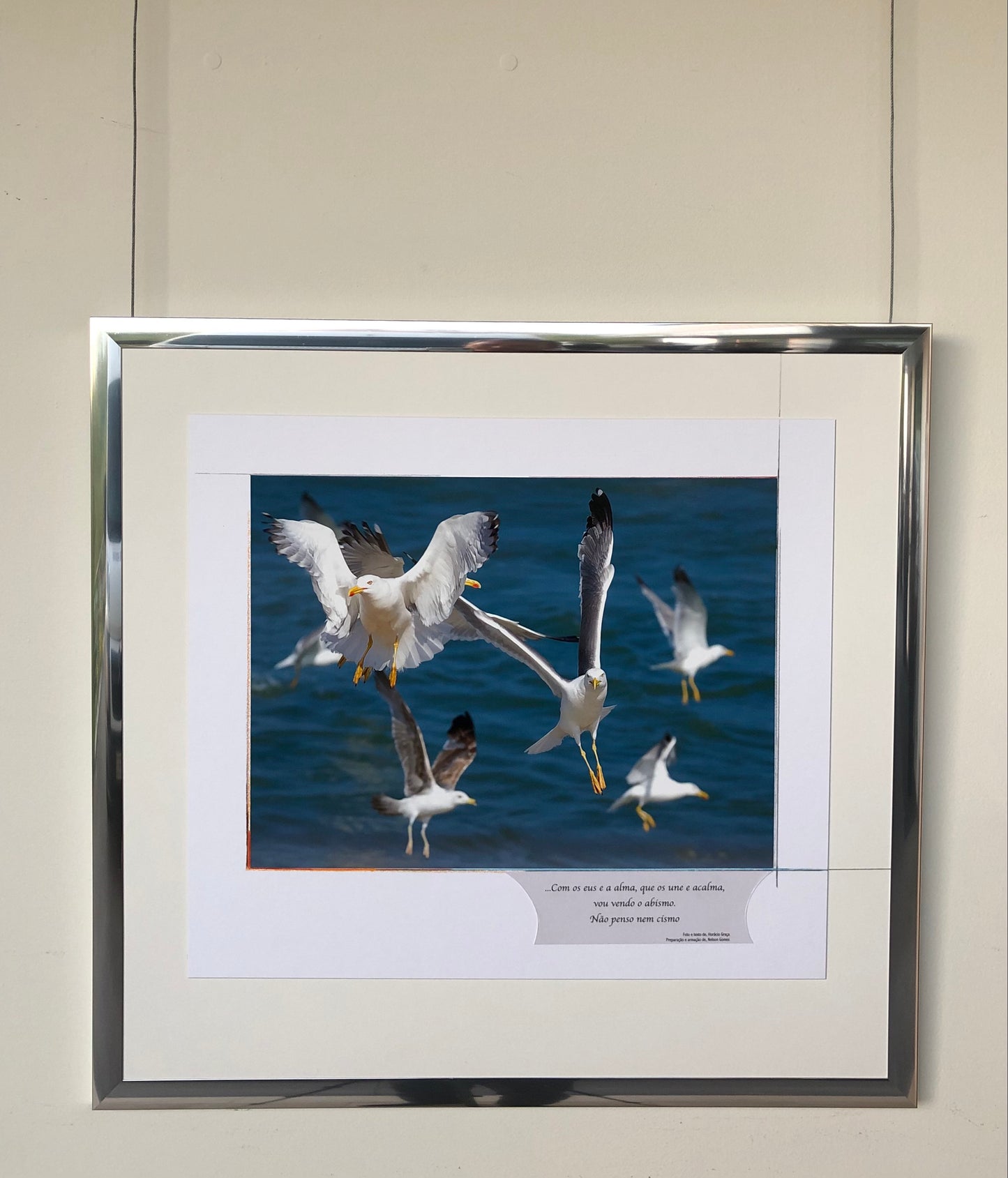 64 x 60 cm  Ref. FNG.21