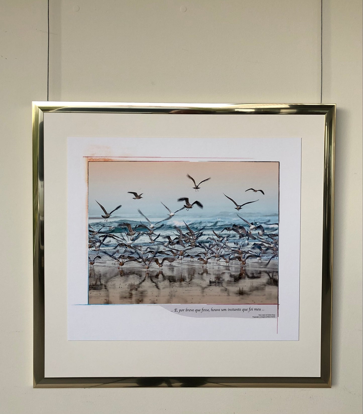 64 x 60 cm Rif. FNG.16