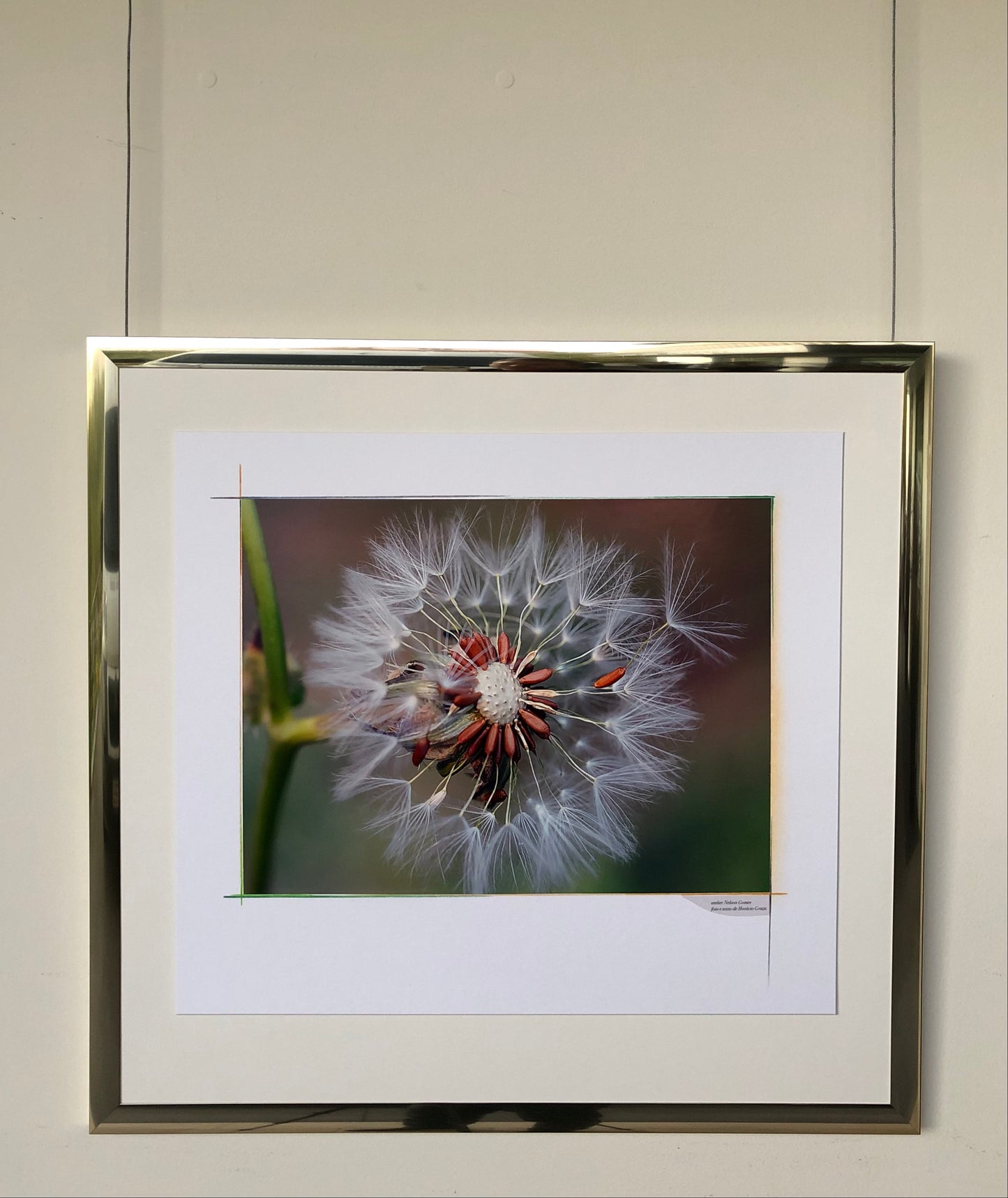 64 x 60 cm  Ref. FNG.2