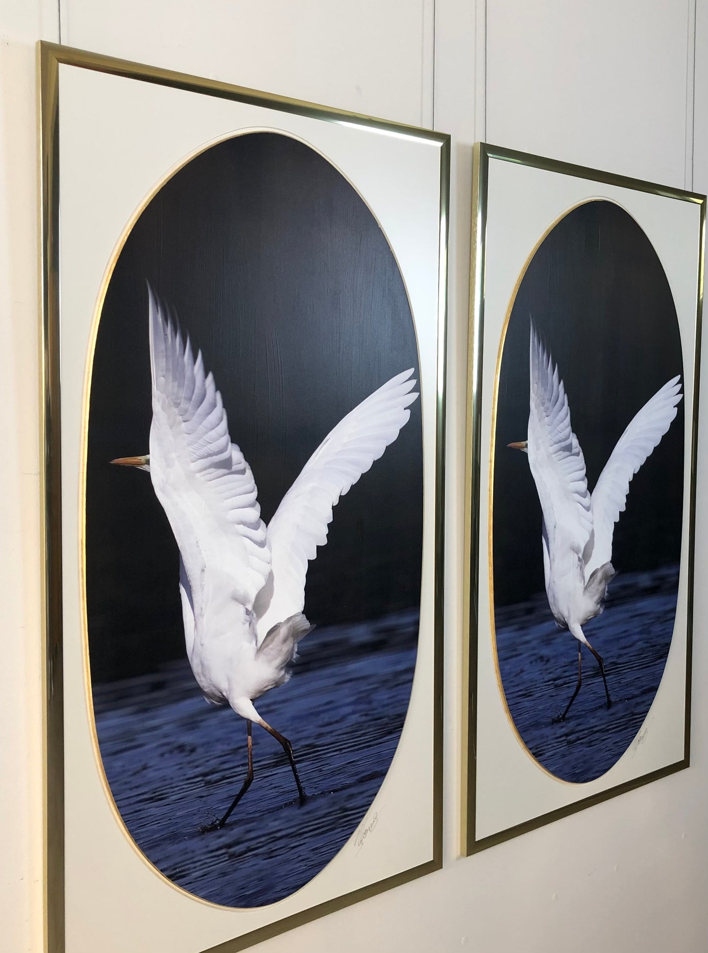 130 x 71 cm  Ref. 48274-48275