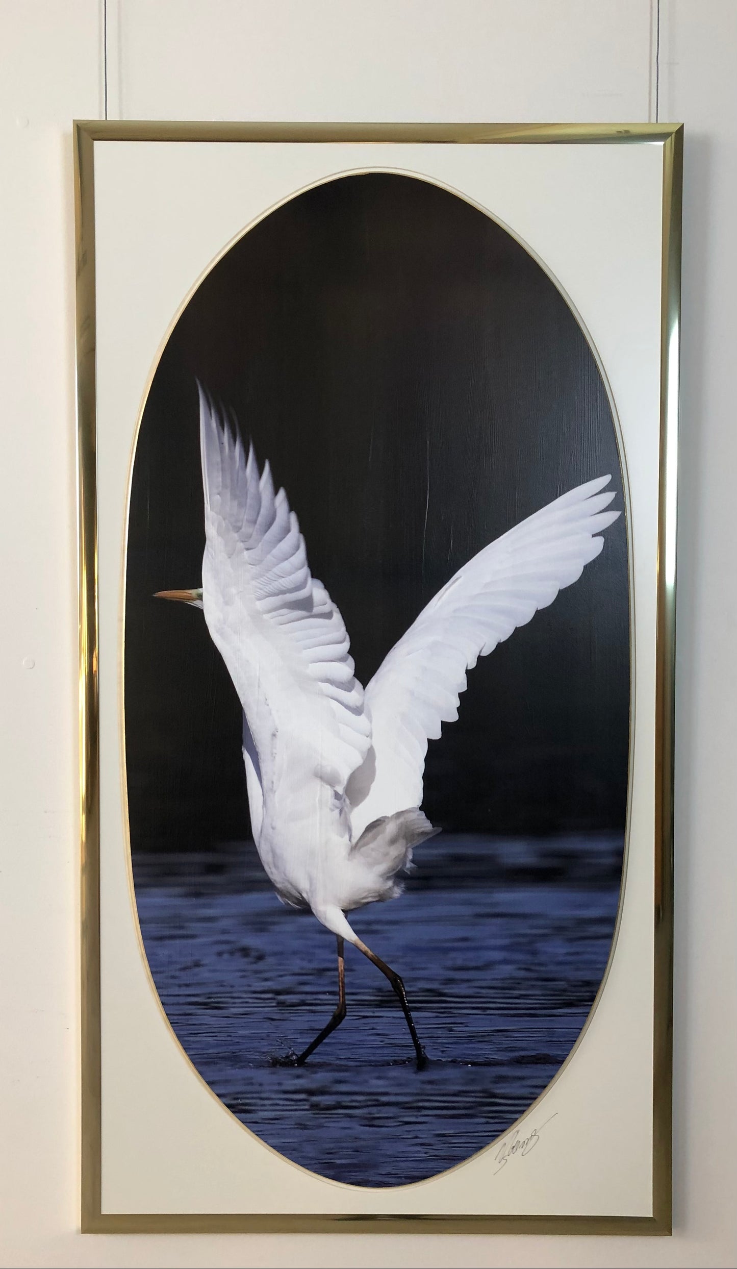 130 x 71 cm  Ref. 48274-48275