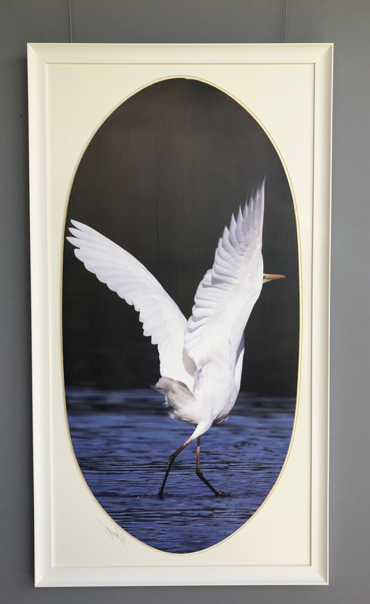 134 x 74 cm  Ref.4732