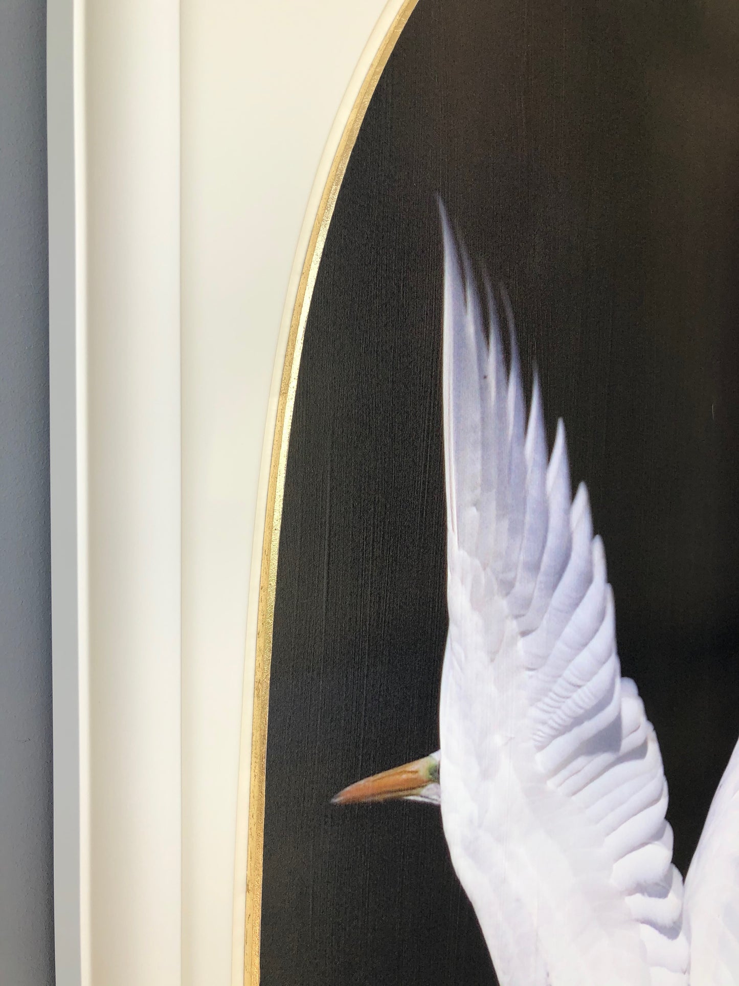 134 x 74 cm  Ref.4732